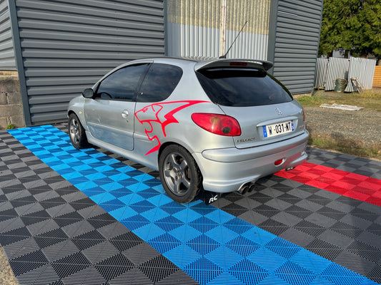 Peugeot 206 RC - CIRCUIT - TRACKDAY