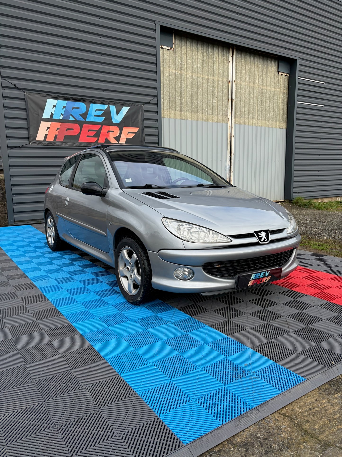 Peugeot 206 2.0 S16 PHASE 1(Non Mux)