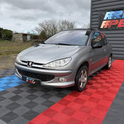 Peugeot 206 2.0 S16 PHASE 1(Non Mux)