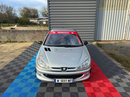 Peugeot 206 RC - CIRCUIT - TRACKDAY