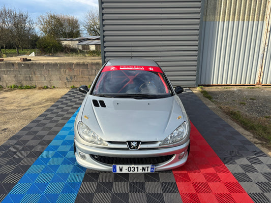 Peugeot 206 RC - CIRCUIT - TRACKDAY