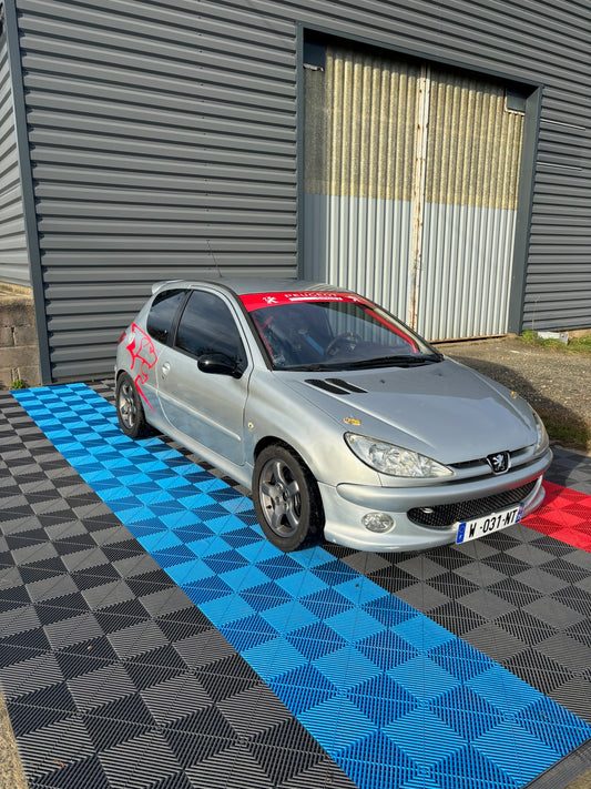 Peugeot 206 RC - CIRCUIT - TRACKDAY